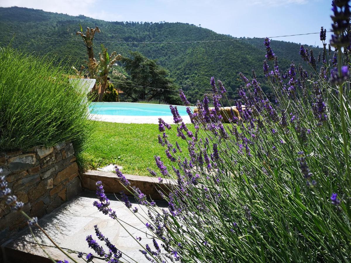 Agriturismo Ca Due Nonu Vallebona Bagian luar foto
